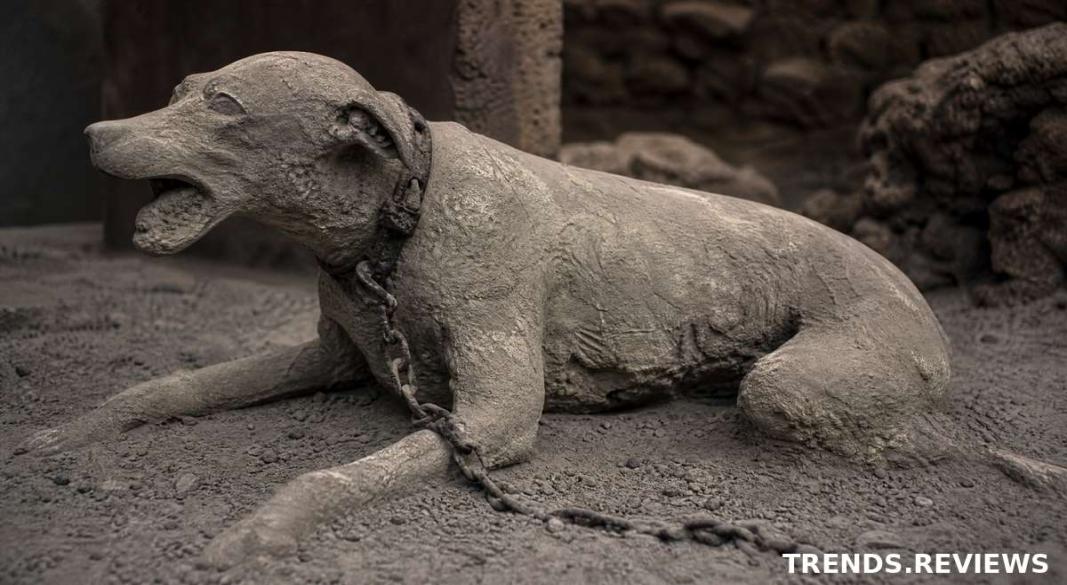 Pompeii Ghost City History and Mysteries